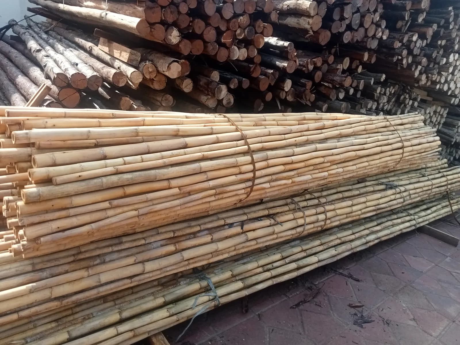 Bamboo Poles 2