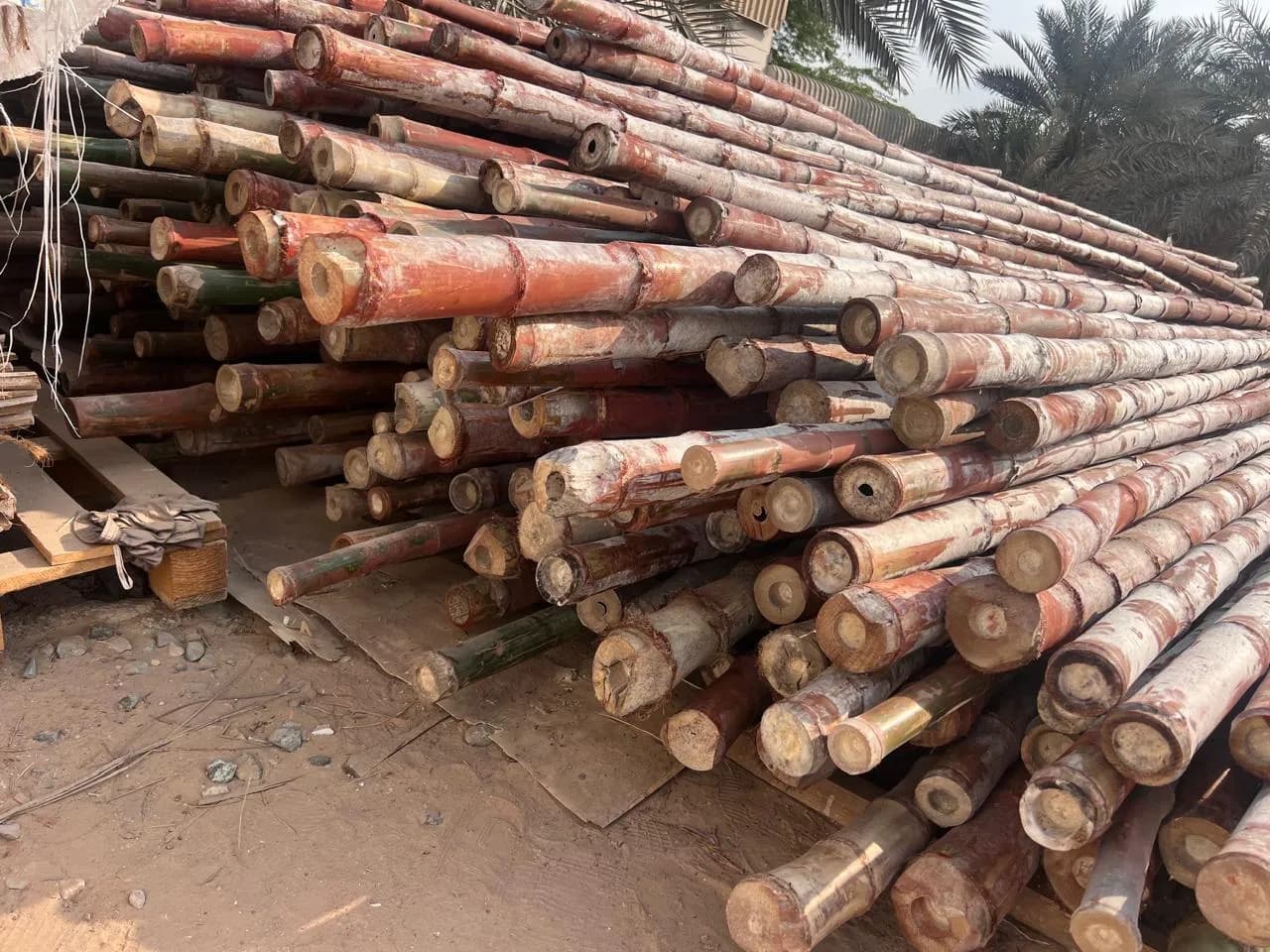Bamboo Poles 3