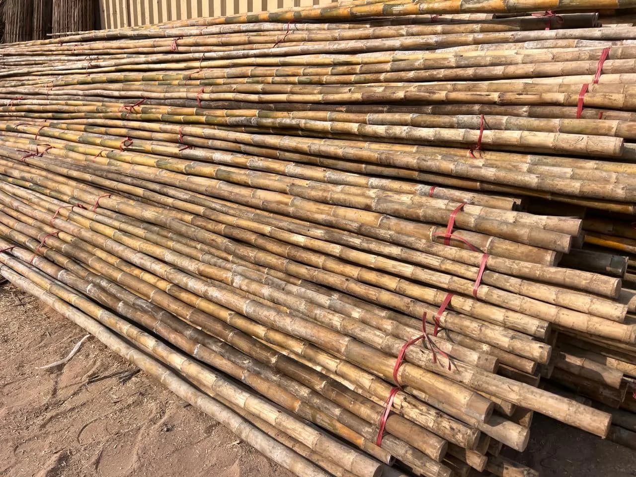 Bamboo Poles 4