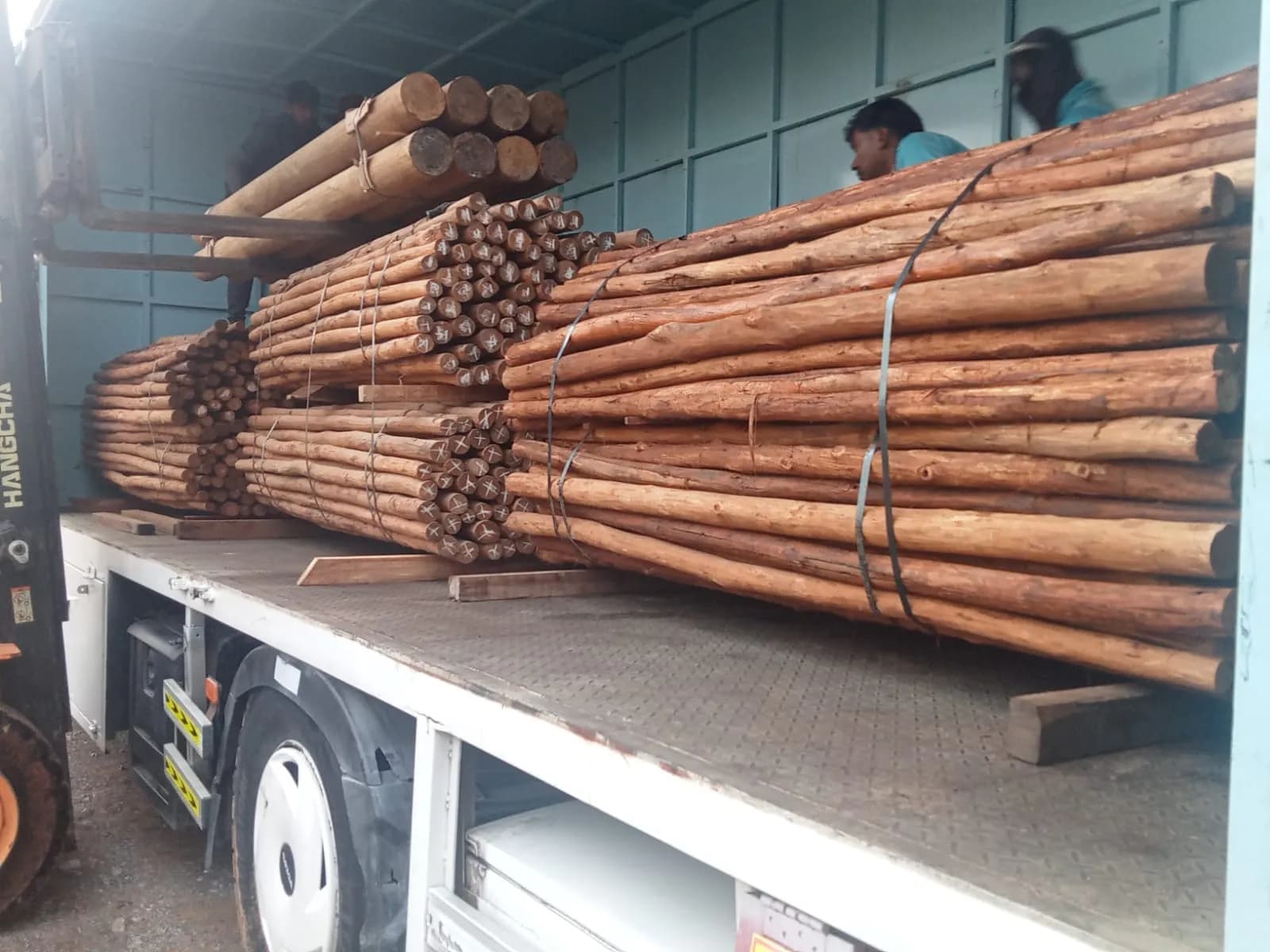 Customized Poles 5