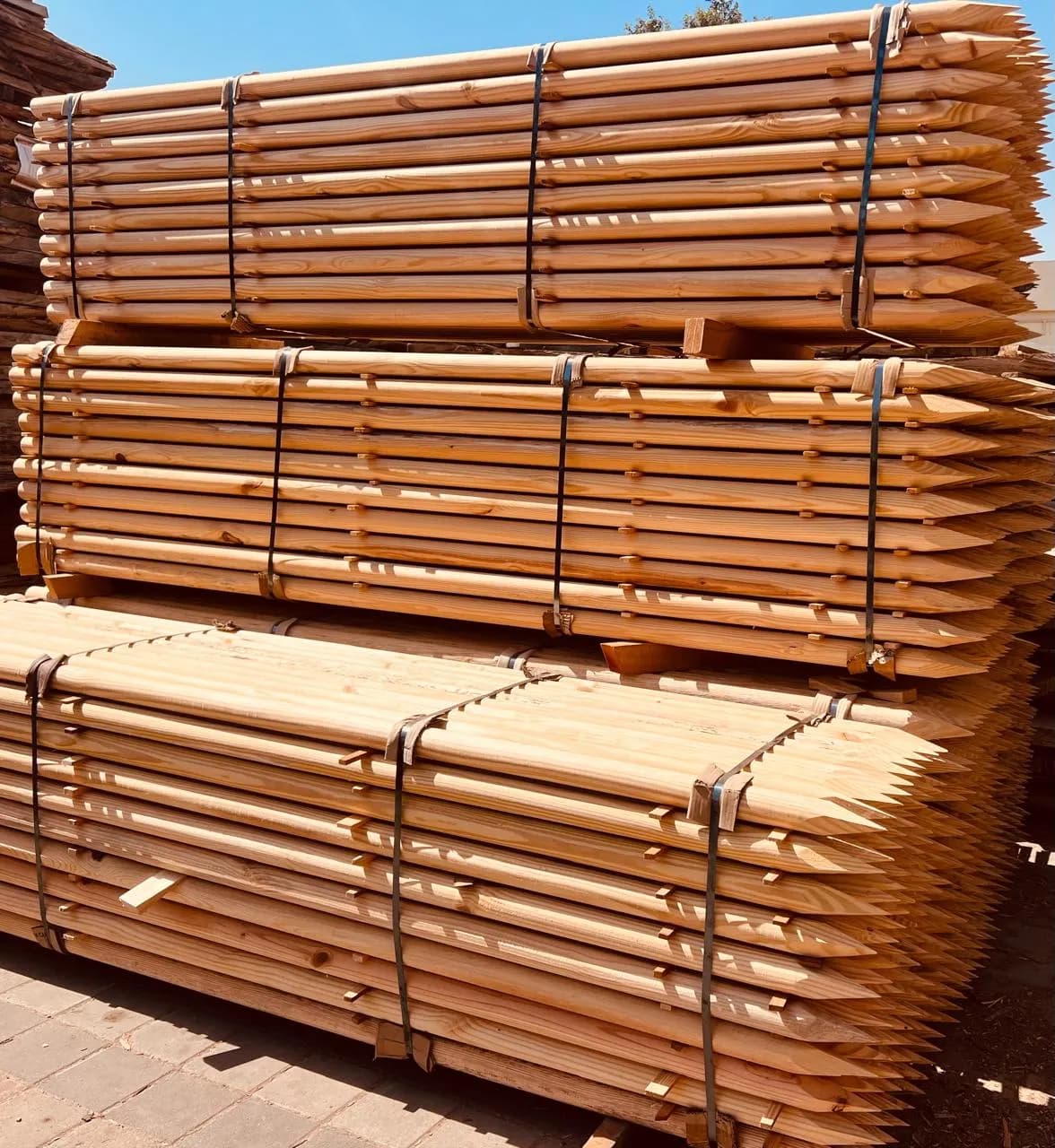 Customized Poles 6