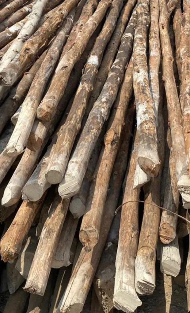 Natural and Customized Poles