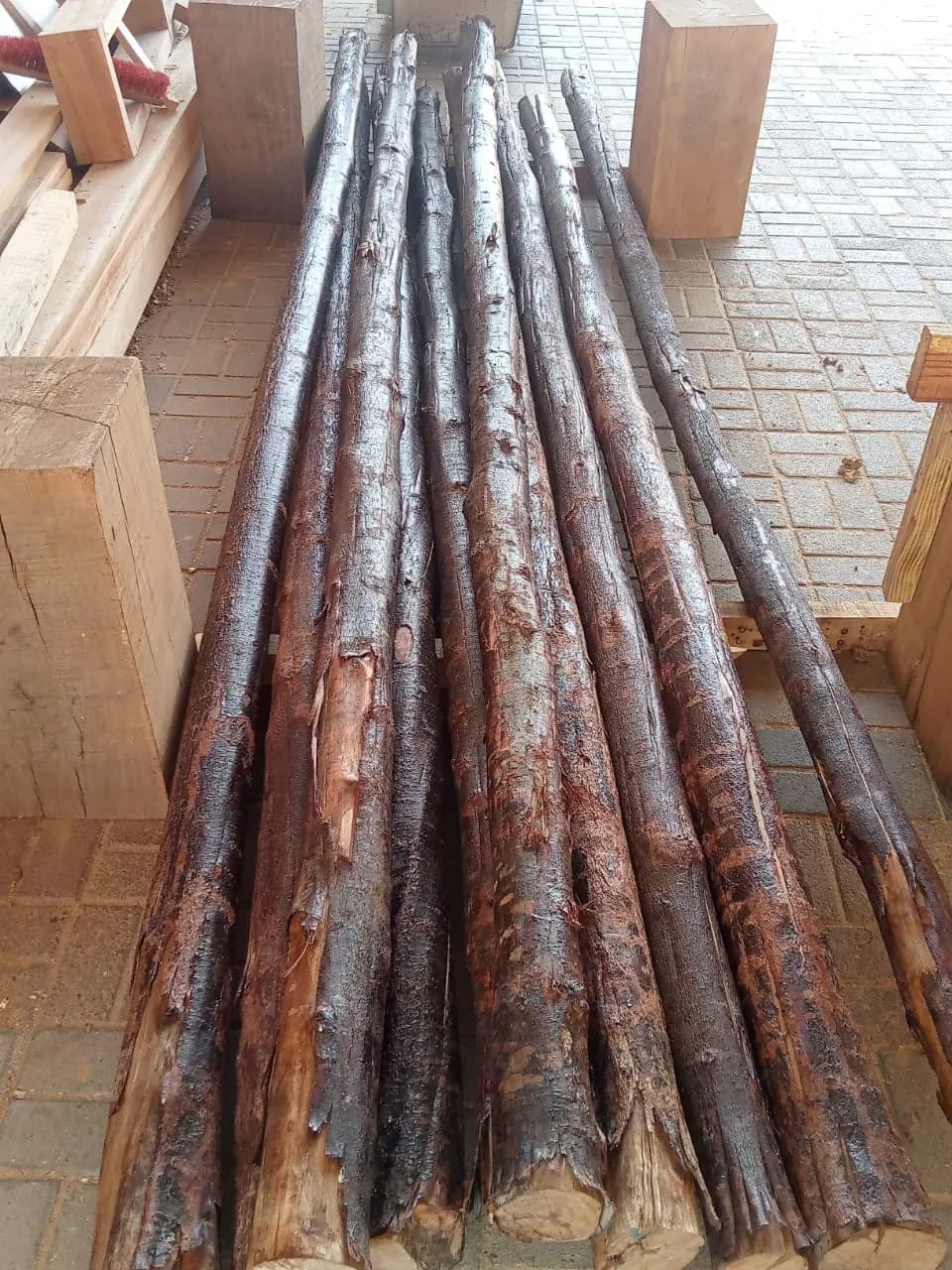 Natural Poles 4