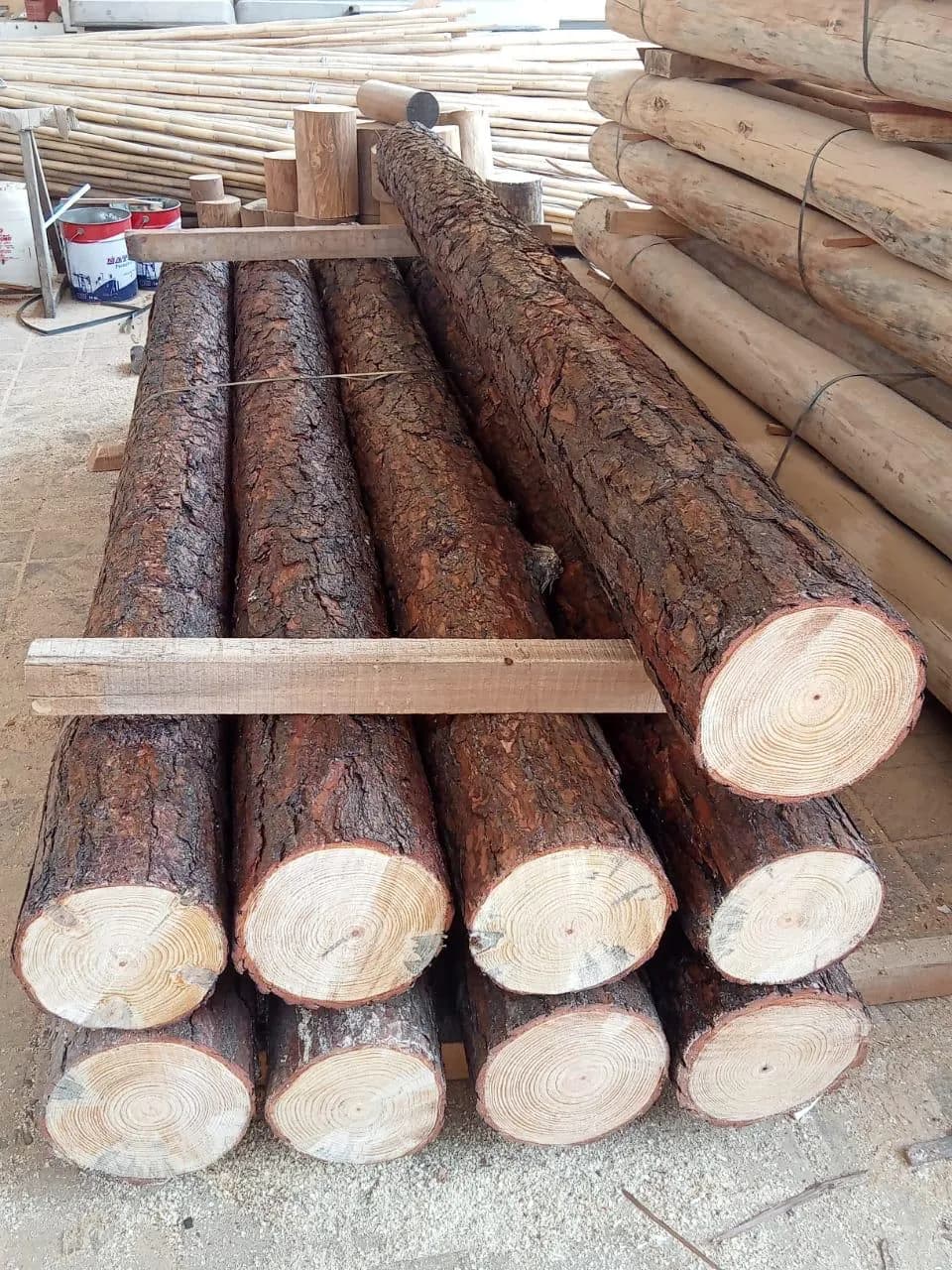 Natural Poles 5