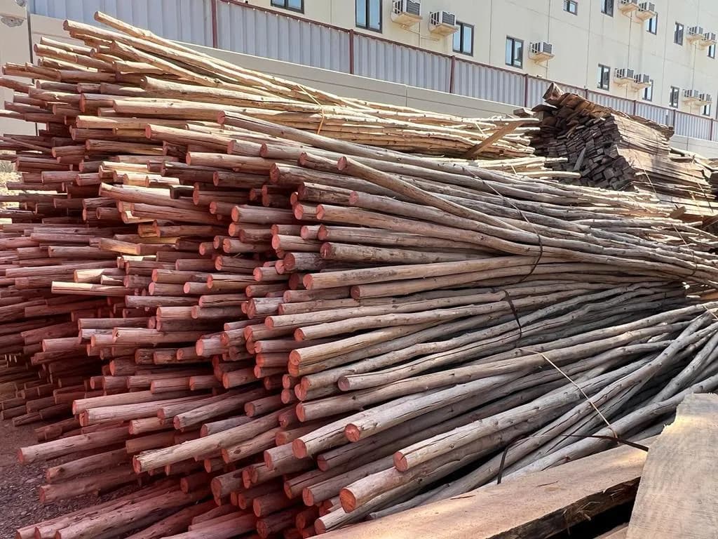 Natural Poles 2