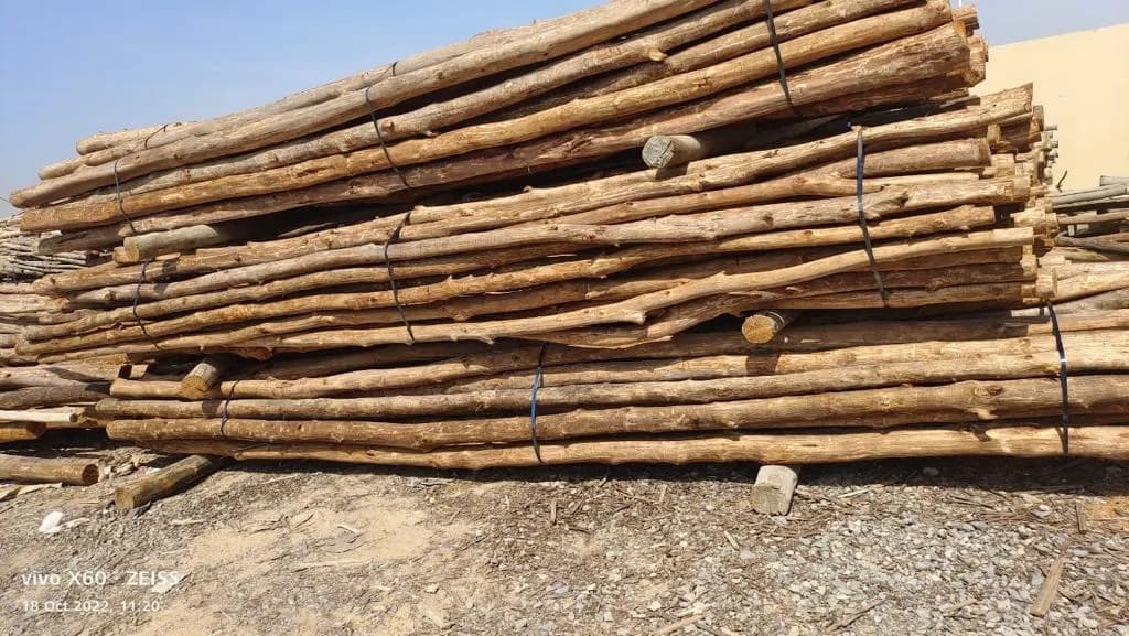 Natural Poles 3