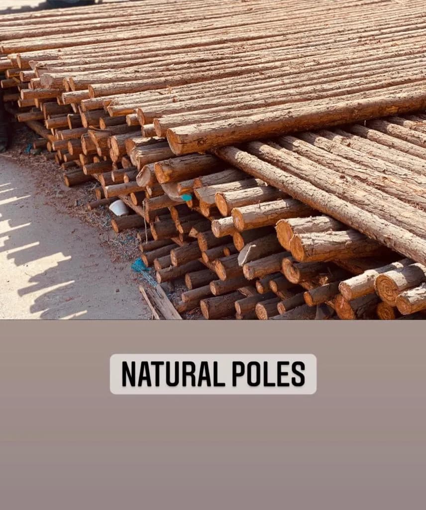 Natural Poles 5