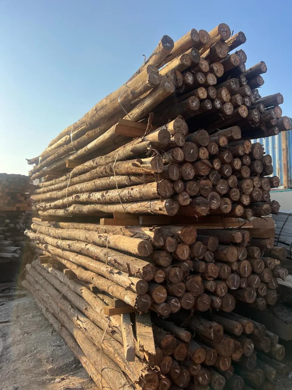 Natural Poles 6