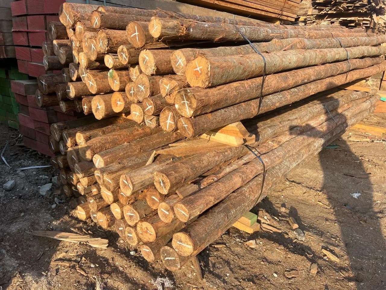Natural Poles 1