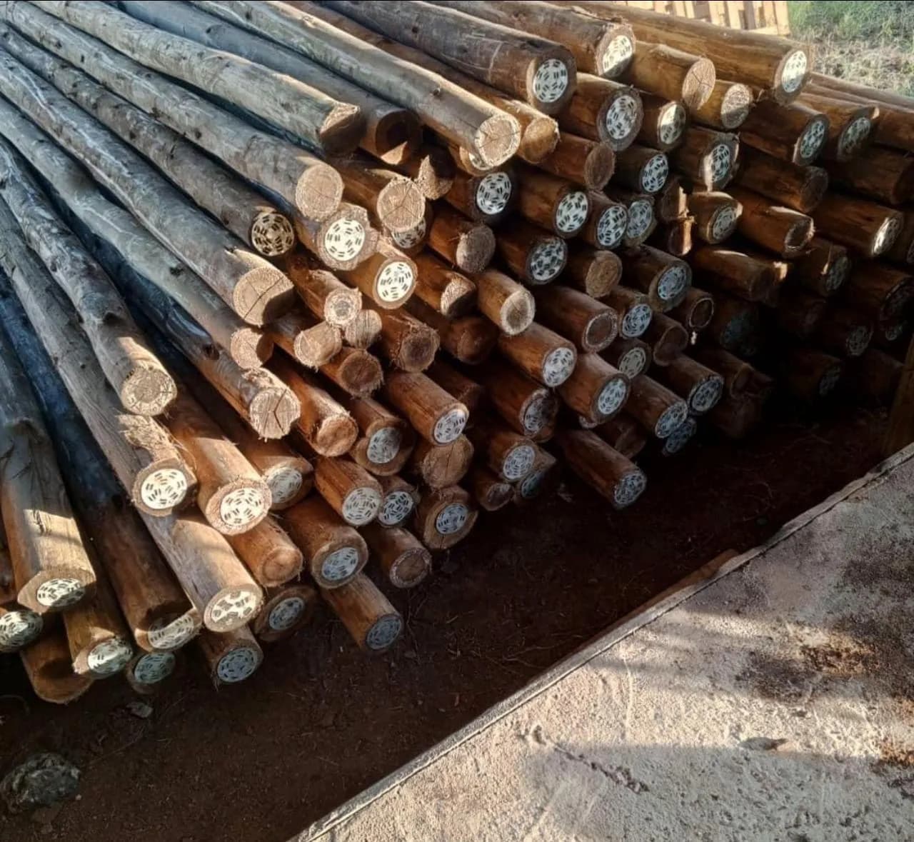 Natural Poles 3