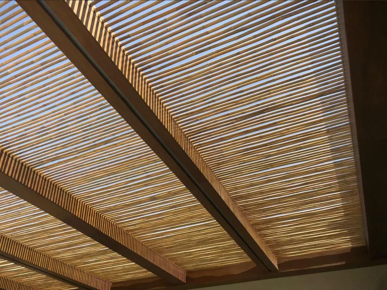 Outdoor and Indoor Projects 4